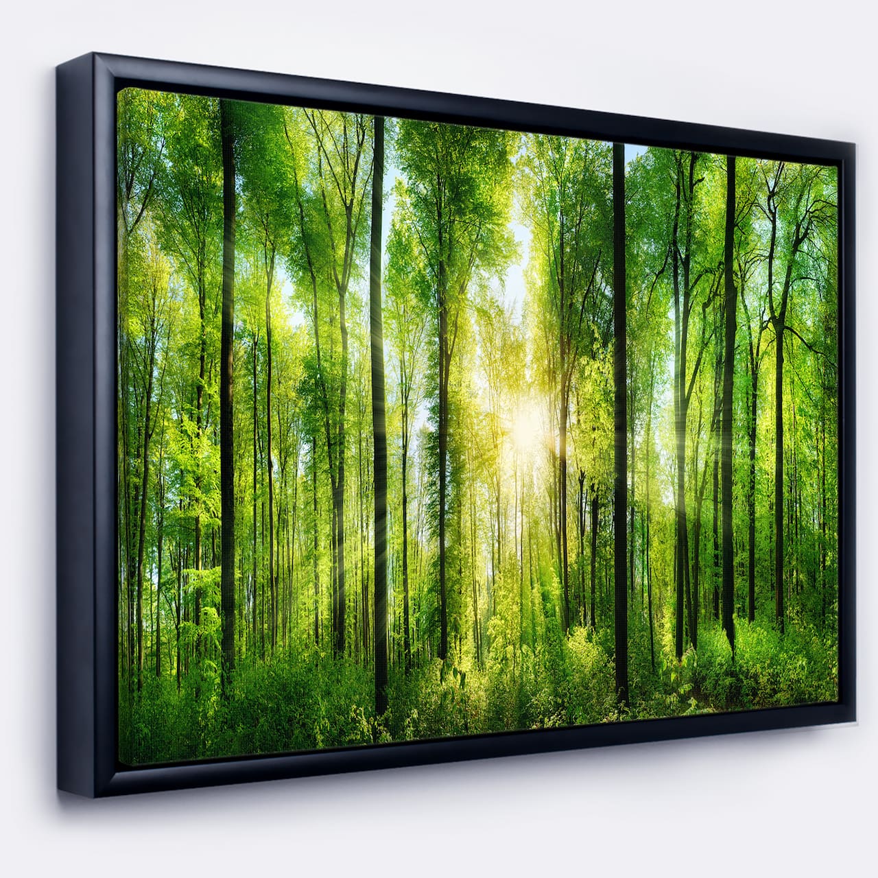 Designart - Forest with Rays of Sun Panorama - Landscape Art Print Framed Canvas